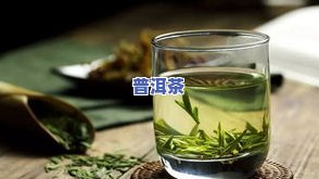 雨林古茶坊的茶怎么样，深度解析：雨林古茶坊的茶叶品质如何？