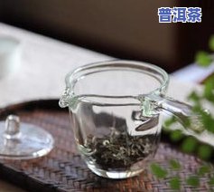 怎样的茶叶才是好茶叶？从品质、产地到冲泡方法，全面解析好茶的标准与挑选技巧！