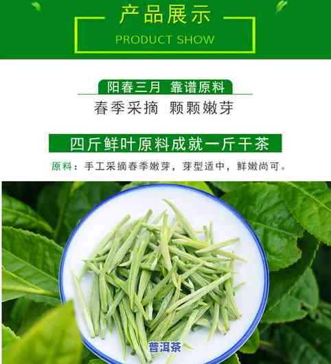 湄潭翠芽茶是绿茶吗？熟悉其特点及品质