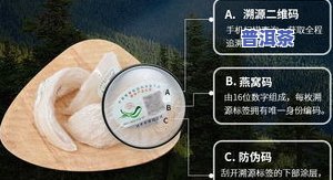 白毫显露：揭示名茶的特别品质与识别方法