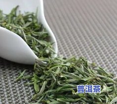 茶叶外形“白毫显露”是什么茶的品质特点之一-茶叶外形白毫显露是什么茶的品质特点之一