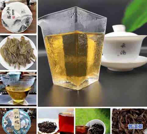 不存在经过加工的茶叶-不存在经过加工的茶叶能喝吗