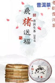 郑州老树普洱茶零售商电话-郑州老树普洱茶零售商电话号码