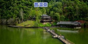 藏剑山庄风陵河普洱茶-藏剑山庄 普洱茶