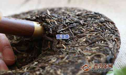 煮普洱茶生茶：需要煮几分钟？方法全解析！