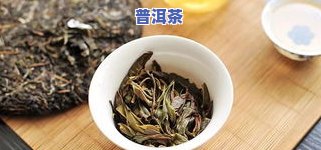 生煮普洱茶的视频教程-煮普洱生茶的方法