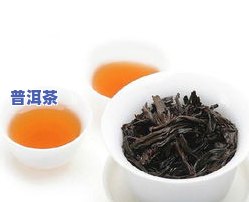 普洱茶雪芽的泡法视频教学：详解雪芽普洱茶的价格与冲泡技巧