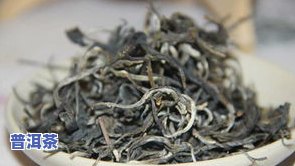 冷门普洱茶-冷门普洱茶