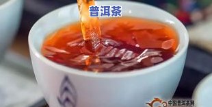 冷门普洱茶-冷门普洱茶