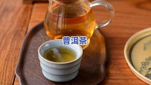 哪些普洱茶是金融茶的产品类型？请详解