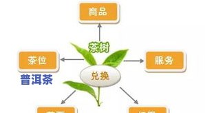 营养价值更高的茶叶是什么？解析各类茶叶的营养成分