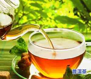 营养价值更好的茶叶排行榜：哪种茶叶营养更高？