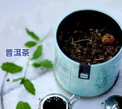 适合常温储存的茶叶有哪些？常见品种及种类介绍