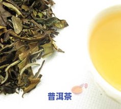 适合常温储存的茶叶有哪些？常见品种及种类介绍