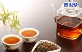 适合常温储存的茶叶有哪些？常见品种及种类介绍