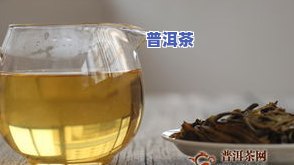 普洱茶是劣茶吗-普洱茶是劣茶吗为什么