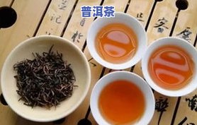 可以常温保存的茶叶：种类与品种全解析