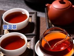 普洱茶：品种、与文化探索