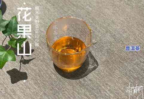 普洱茶用多少℃的水泡？正确温度让茶香四溢！