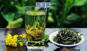 普洱茶泡完还是变绿茶吗-普洱茶泡完还是变绿茶吗能喝吗