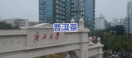 广西普洱茶十大名牌：排名、及市场一览