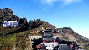 贵州特产梵净山茶叶-贵州特产梵净山茶叶有哪些