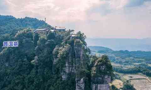 贵州特产梵净山茶叶-贵州特产梵净山茶叶有哪些