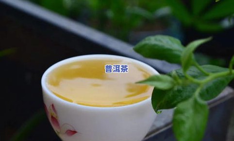 哪种茶叶泡开后特别大？