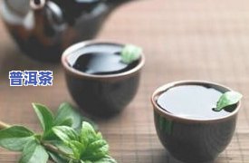 抹茶可以用普洱茶叶吗？探讨其可行性与原因