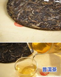 布朗普洱茶价格多少钱一斤-布朗普洱茶价格多少钱一斤啊