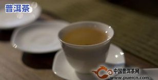 普洱茶怎么喝效果好？揭秘正确泡法与饮用方式