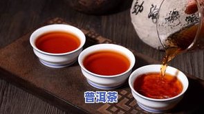 易武普洱茶和冰岛普洱茶-冰岛普洱茶与易武普洱茶区别