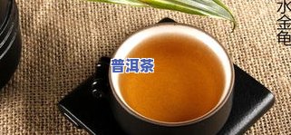 甘肃茶叶出名的茶叶-甘肃茶叶出名的茶叶产地