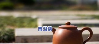 怎样去除茶壶里茶叶-怎样去除茶壶里茶叶味道