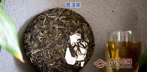 白茶做的普洱茶饼：好还是不好？如何辨别与普通普洱茶的区别？