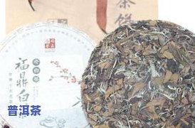 白茶茶饼与普洱茶饼的区别：关键对比与识别方法