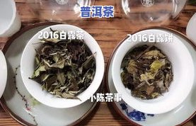 白茶茶饼与普洱茶饼的区别：关键对比与识别方法