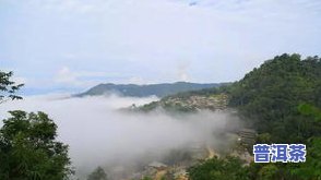 普洱茶最贵的山头排名之一-普洱茶最贵的山头排名之一名