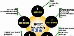 开普洱茶店怎样盈利？全面解析普洱茶专卖店经营策略