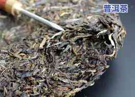 普洱茶冰岛生茶什么样子-普洱茶冰岛生茶什么样子的好