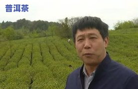 普洱茶王霞：制茶大师、价格表与云南知名人介绍