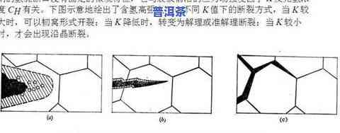 探究普洱茶泡沫产生的原理与机制