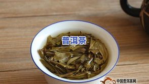 普洱茶早春茶特点分析图片及价格全览