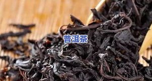 云上冰岛普洱茶-普洱云上茶田茶叶