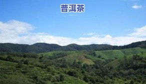 云南六大古茶山地图全图高清版，包括所有古茶山位置信息