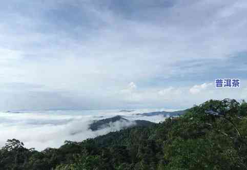 云南六大古茶山是哪几个？详解其山脉、山峰与山系