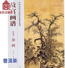 普洱茶字画：从技法到艺术，一册在手，尽享普洱茶画的魅力与文化