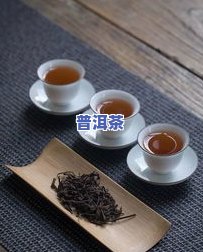 普洱茶加什么会发酵得更好？口感、香气与健康全面升级！