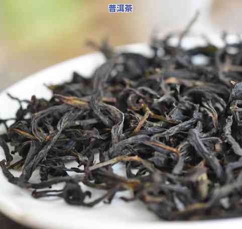 单丛茶属什么类茶叶种类？从定义、分类、图片全方位解析！