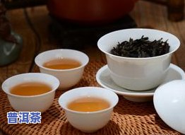 单丛茶属于什么类型的茶？详解其分类与茶系归属